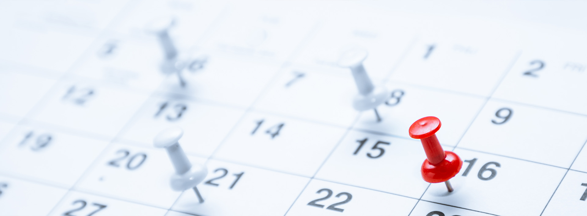 Everyday Dental | Fluoride Treatment, Preventative Program and Implant Restorations
