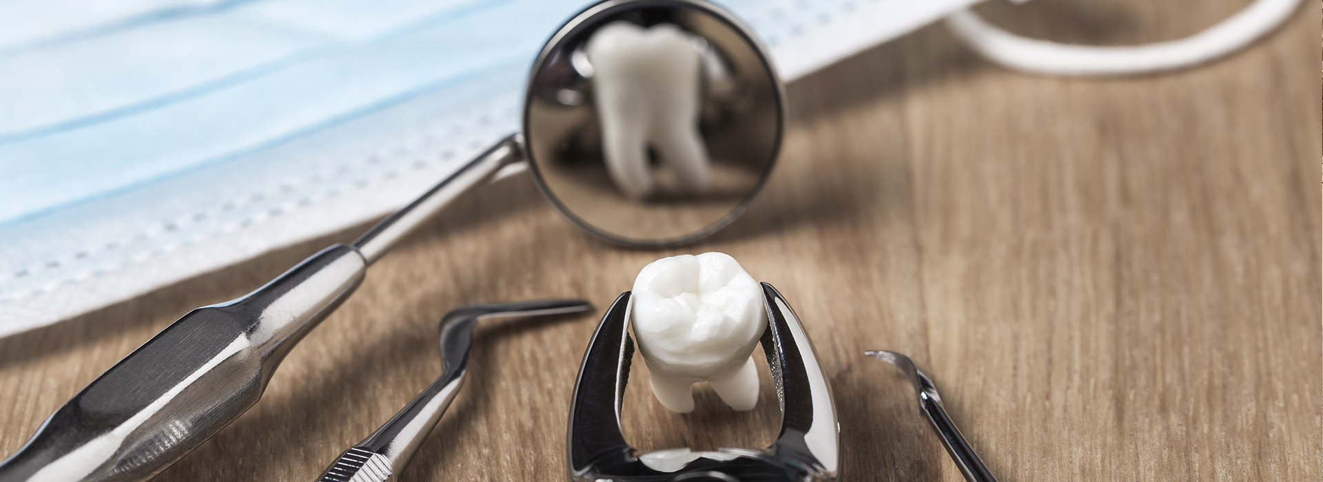Everyday Dental | Preventative Program, Implant Restorations and Oral Exams
