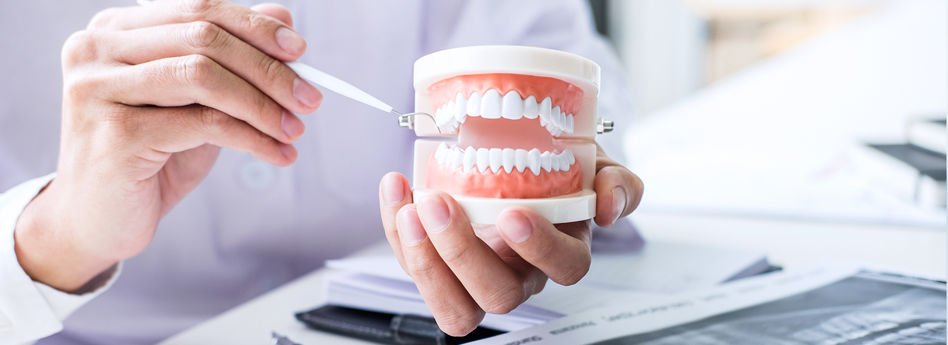 Everyday Dental | Preventative Program, Crowns and Root Canals